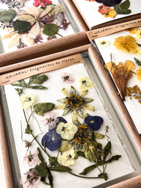 Fragmento de flores 1