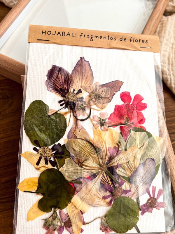 Fragmento de flores 2