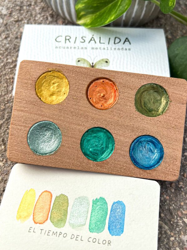 CRISÁLIDA paleta primer vuelo